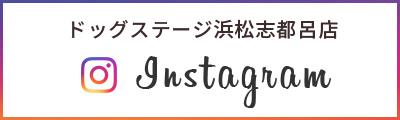ドッグステージ浜松志都呂店Instagram